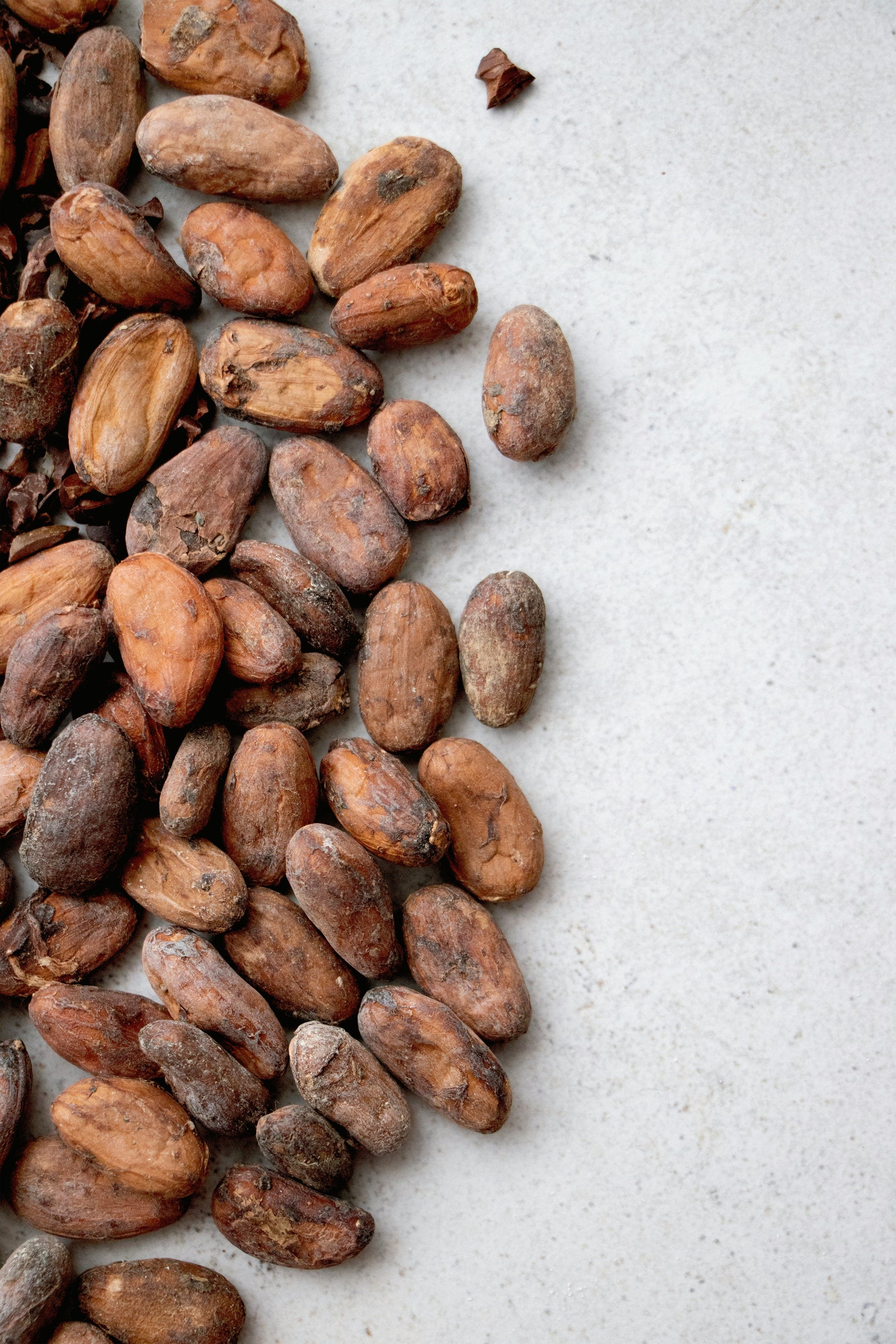 Cocoa beans